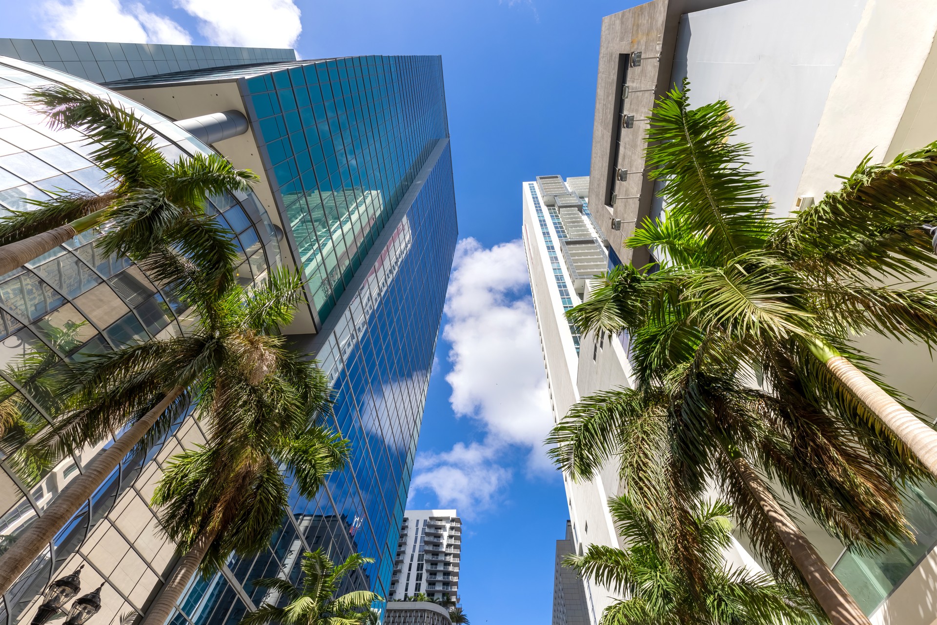 Luxury yachts in Miami marina near financial and business center and Biscayne bay Luxury yachts in Miami marina near financial and business center and Biscayne bay
